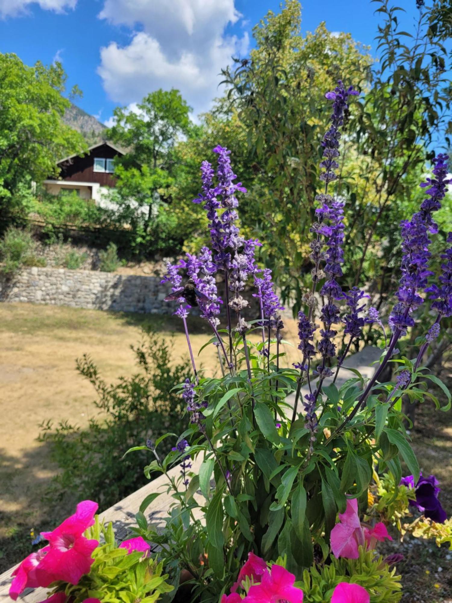 Chalet Le Chevreuil Villars-Colmars Εξωτερικό φωτογραφία